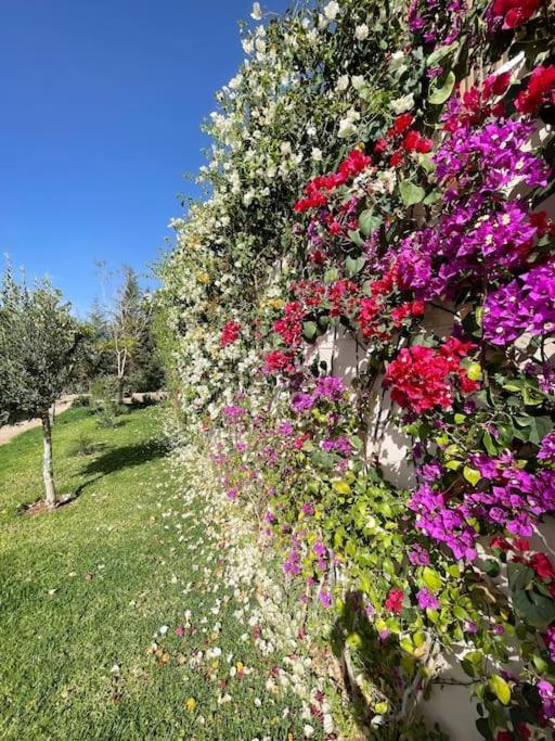 Di 550 Mq Con 4 Piscina E Terrazza Panoramica Villa *