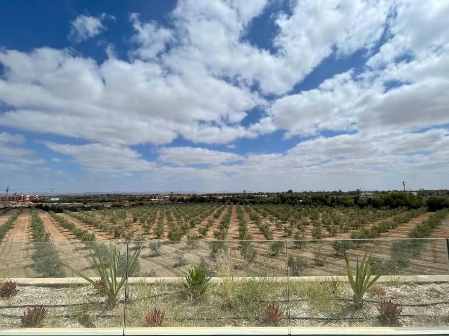 Di 550 Mq Con 4 Piscina E Terrazza Panoramica Villa