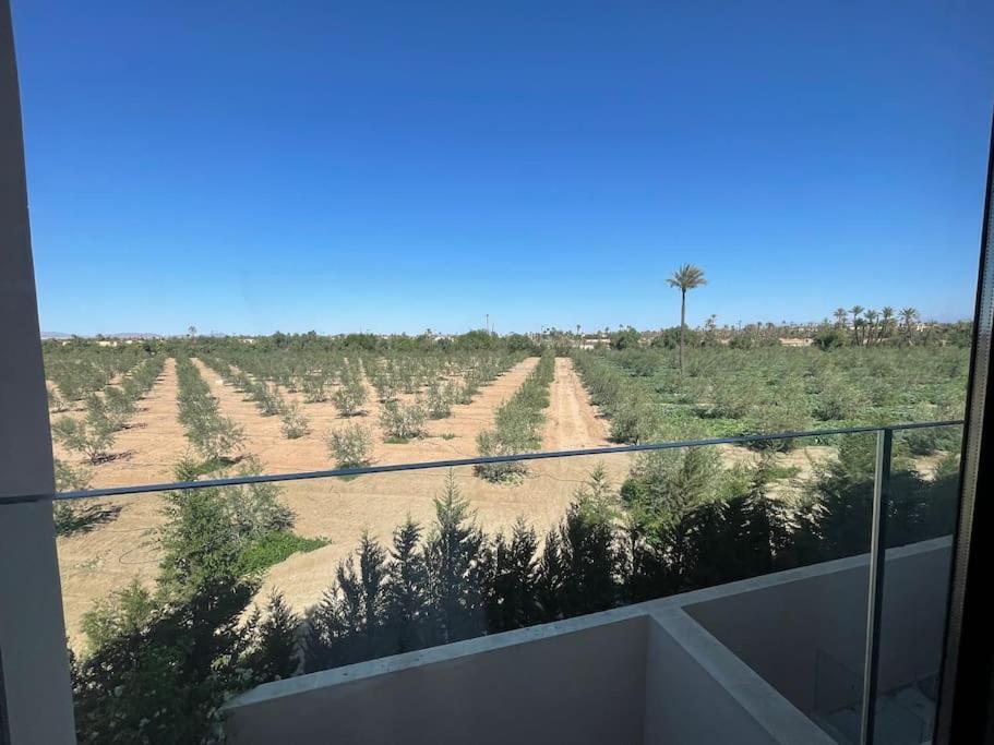 Di 550 Mq Con 4 Piscina E Terrazza Panoramica Villa